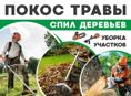 Покос травы