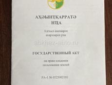 Тамыш 1 Гектар