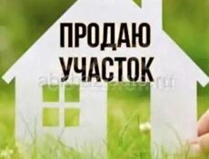 Цандрипш