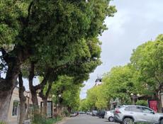 Сдаю квартиру в центре Сухума 