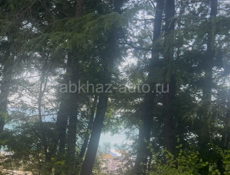 вид на море у трассы , дорога на смотровую 