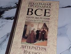 Литература,  10 класс 
