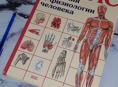 Атлас анатомии и физиологии человека 