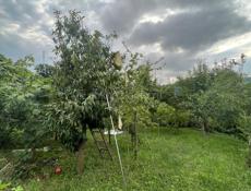Готовый бизнес гостевой дом. 