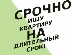 В поиске квартиры