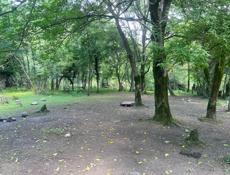 земельный участок 6 соток каманы
