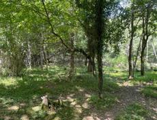 земельный участок 6 соток каманы