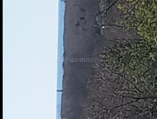 КАПИТАЛЬНЫЙ ДОМ 