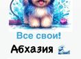 Груминг 