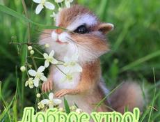 Кольцо