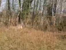 Сухумский район,с пшап.