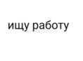 Ищу работу 