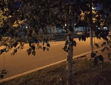 Гараж