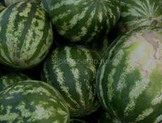 Арбуз 🍉 