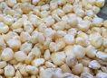 Кукуруза белая ( местная )