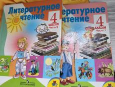 Школьные книги