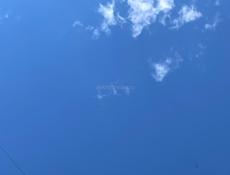 В ресторан Ущелье требуется помощник повара