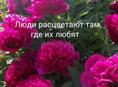 В поисках работы общепит.