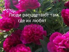 В поисках работы общепит.