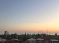 Сдаю номера 