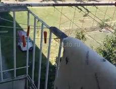 РЯДОМ С 15 ШКОЛОЙ