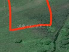Первая береговая линия, 80 соток! 