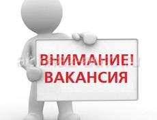 Требуется музыкант в г.Сухум