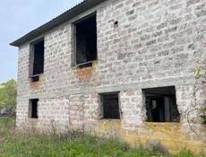 Бабушара 1 гектар