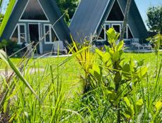 Сдаю дом Лдзаа A-frame