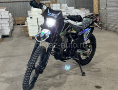 Arctic Cat