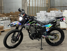 Arctic Cat