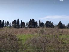 УЧАСТОК АЛАХАДЗЫ 7 СОТОК С ВЕТХИМ СТРОЕНИЕМ 
