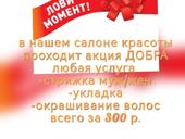 приглашаем всех на летнее обновление