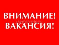 Срочно нужен бармен 