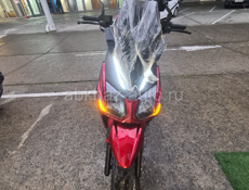 Benelli