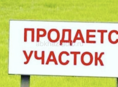 Участок 45га, идеальный для мандаринов.