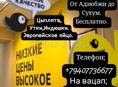 Продаются цеплята 