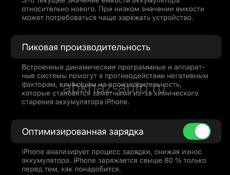 iPhone 13 Pro Max 256 g  🔋 93 %