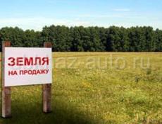 Срочно 