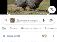 Птица 