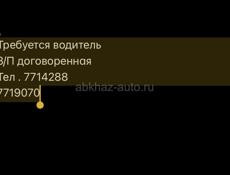 Водитель 