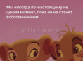 Все за 3500