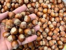 фундук 🌰 