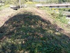 Участок 8сот 