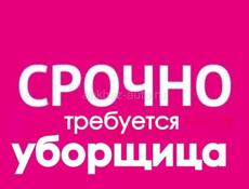Уборщица (п.Цандрипш)