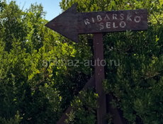 Продавец на рынок