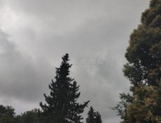 Ищу работу 