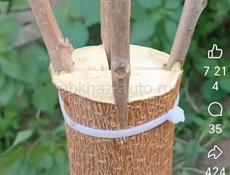 Продам 7 соток земли