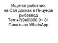 Ищется работник на сап досках 