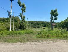 УЧАСТОК 50 СОТОК ОЧАМЧИРА